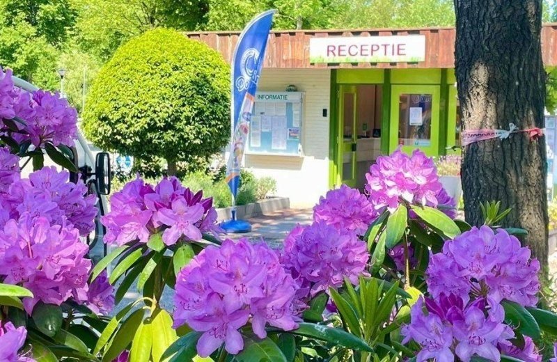 Receptie met winkeltje