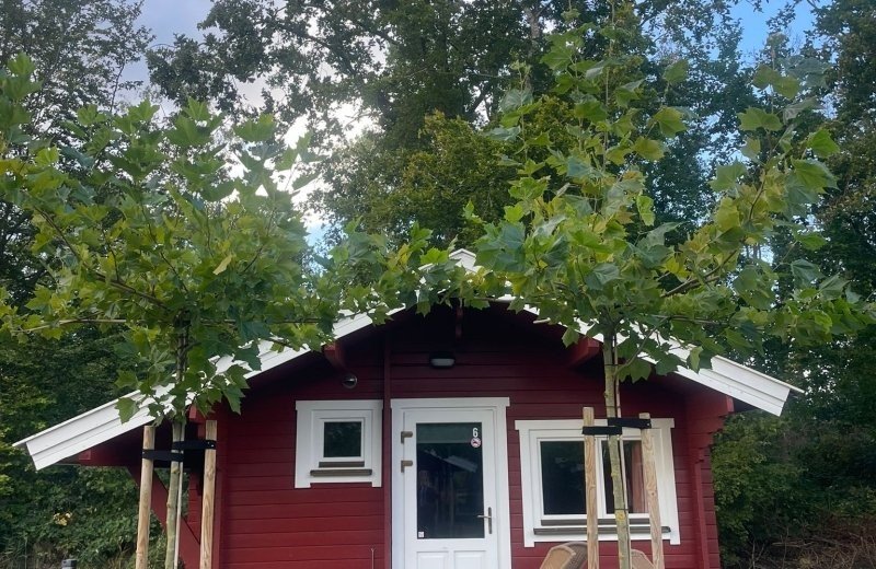 Brabantse Blokhut voor 4 personen