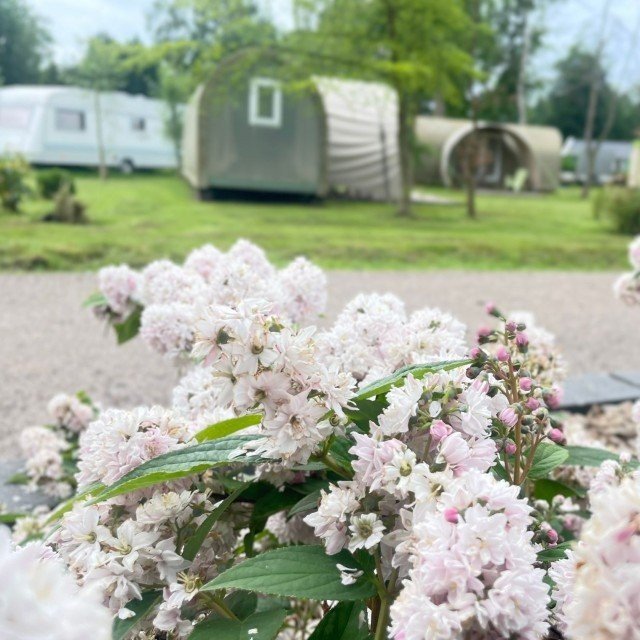 Sfeerfoto camping 6751cd153b74e