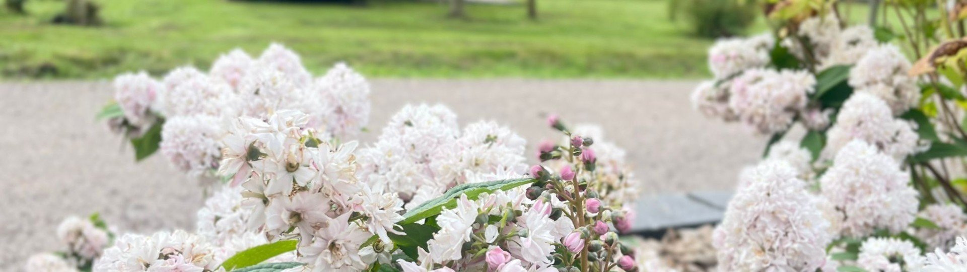 Sfeerfoto camping 6751cd153b74e